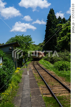 いすみ鉄道 キハ52形 15516310