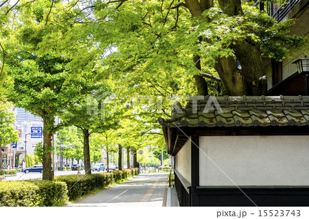 わが街シリーズ、愛宕上杉山通り 15523743