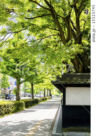 わが街シリーズ、愛宕上杉山通り 15523745