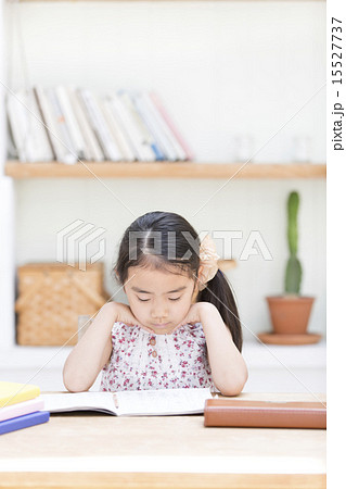 勉強する女の子 勉強する女の子 15527737