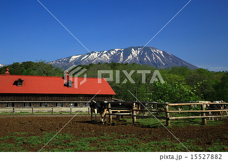 岩手県　新緑の小岩井農場 15527882