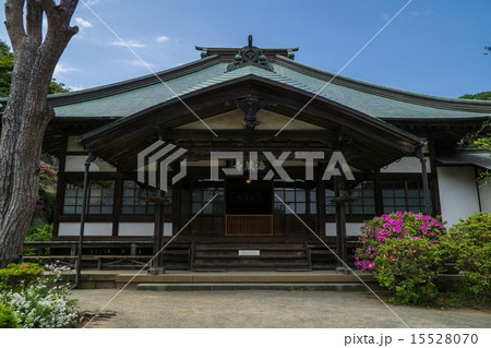 鎌倉 海蔵寺 鎌倉 海蔵寺 15528070