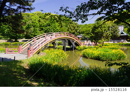 称名寺 15528116