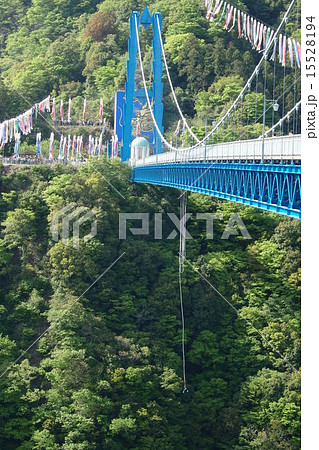 竜神大橋 15528194