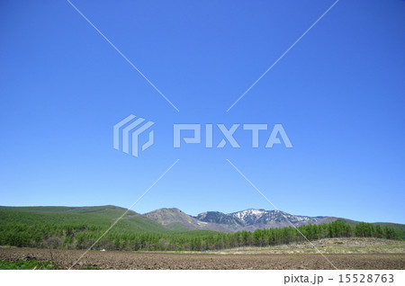 春の嬬恋 春の嬬恋 15528763