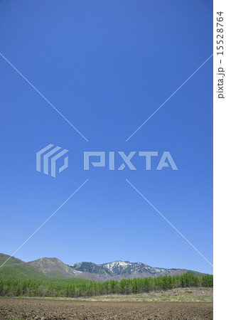 春の嬬恋 春の嬬恋 15528764