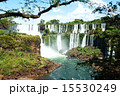イグアス 15530249