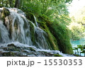 滝 15530353