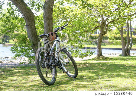 自転車 公園 マウンテンバイク 自転車 公園 マウンテンバイク 15530446