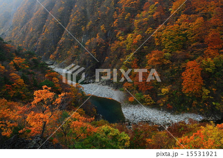 西和賀　錦秋湖の紅葉 15531921