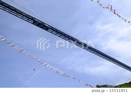 鯉のぼり 15531951