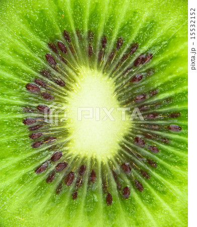 Close up of kiwi slice Close up of kiwi slice 15532152
