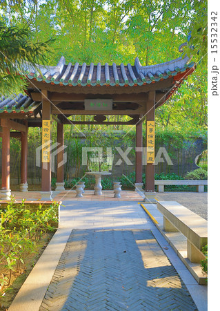 oriental Chinese garden  15532342