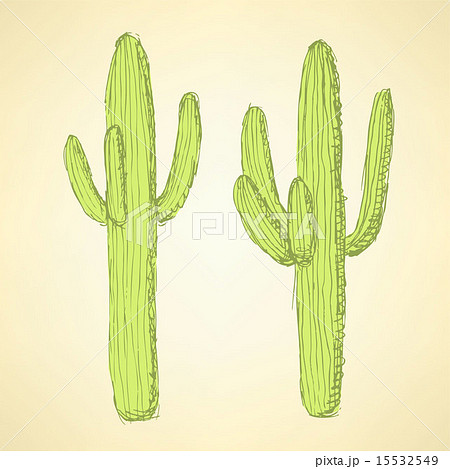 Sketch desert cactus in vintage style 15532549