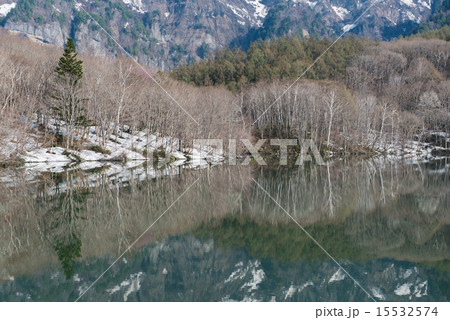 春の鏡池 春の鏡池 15532574
