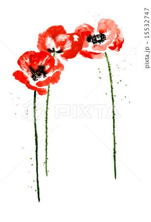 Collection of watercolor poppy flowers Collection of watercolor poppy flowers 15532747