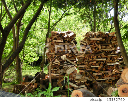 薪場 薪場 15532760
