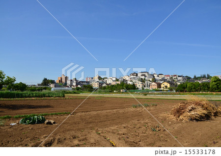 農地と住宅地 15533178