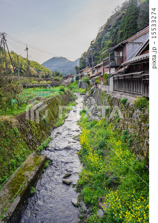春の石見銀山の大森地区の町並みと銀山川の風景 15533274