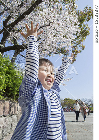 サクラとバンザイする子供 15533377
