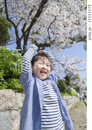 サクラと笑顔の子供 サクラと笑顔の子供 15533378
