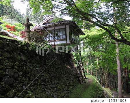 古知谷阿弥陀寺 古知谷阿弥陀寺 15534003