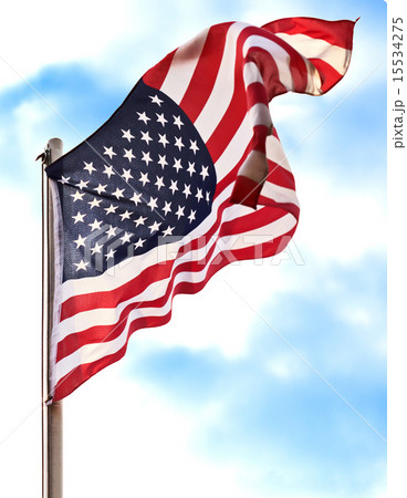 Flag USA 15534275