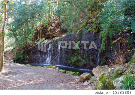 千条の滝 15535803