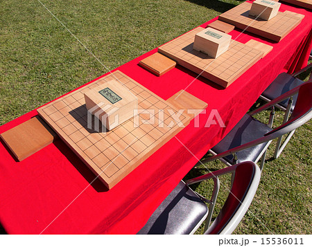 将棋 指導対局 将棋 指導対局 15536011