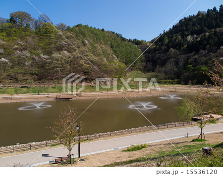 天童公園の池 天童公園の池 15536120