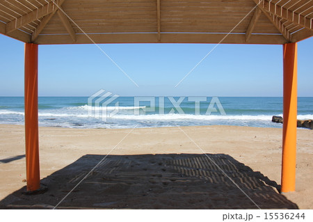 canopy canopy 15536244