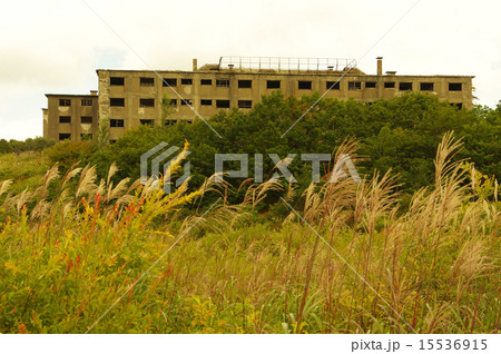 岩手県鉱山跡１ 15536915