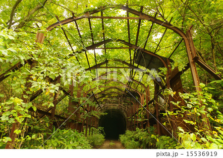 山の中の廃道 15536919