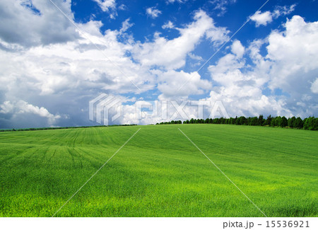 green field 15536921