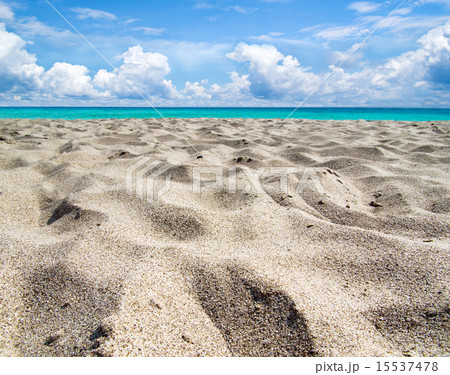 sea sea 15537478