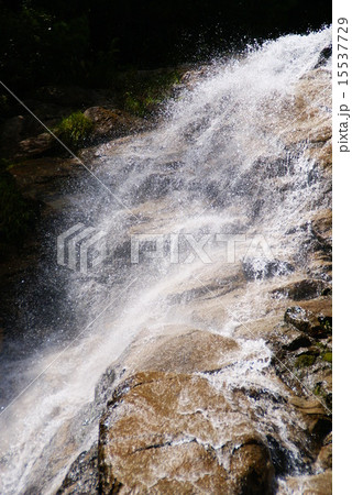 蒼滝 蒼滝 15537729