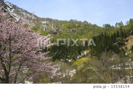 奥裾花 奥裾花 15538154