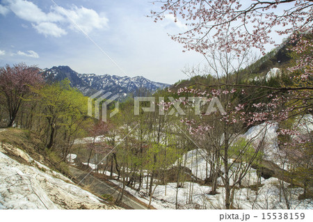 奥裾花 奥裾花 15538159