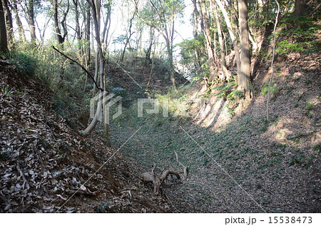 守谷城跡 空堀 守谷城跡 空堀 15538473