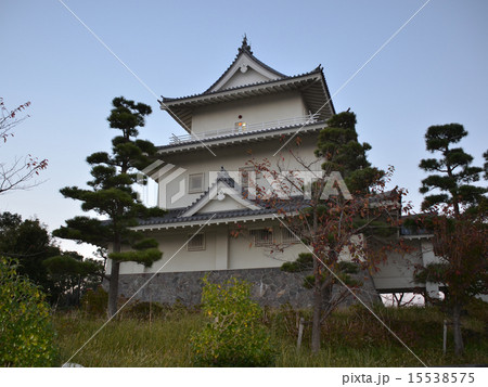 騎西城　模擬天守 15538575