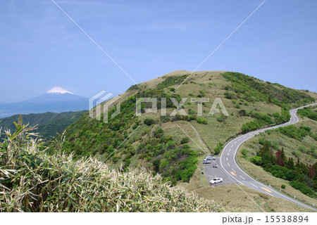 西伊豆スカイラインから見る富士山 15538894
