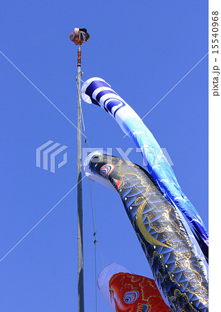 端午の節句の　フラフ（ポルトガル語で旗）と鯉のぼり　フラフは高知県のよさこい祭りでも登場する 15540968