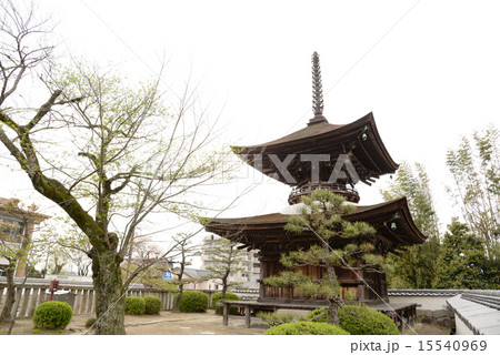 多宝塔　大樹寺　　国の重要文化財　　 15540969