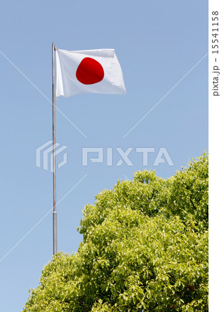 日本の国旗 日本の国旗 15541158