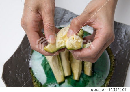 水ナス 水ナス 15542101