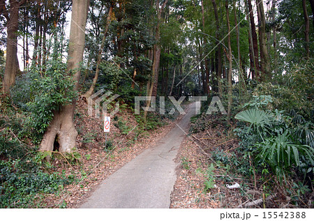 坂井城址公園 空堀 坂井城址公園 空堀 15542388