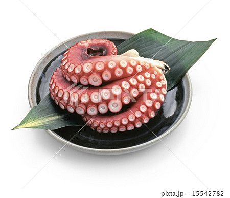 ボイル蛸 15542782