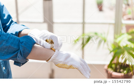 DIY DIY 15542790