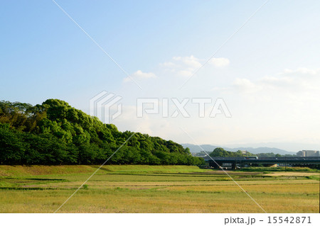 水城の堤防 15542871