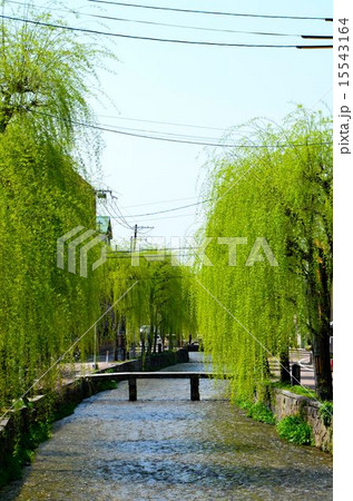 京都　東山三条周辺の風景 15543164